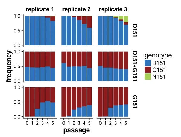 Image for Cooperation between distinct viral variants promotes growth of H3N2 influenza in cell culture
