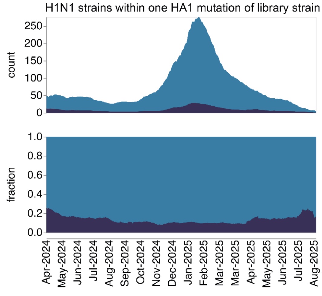 Image for Near real-time data on the human neutralizing antibody landscape to influenza virus to inform vaccine-strain selection in September 2025